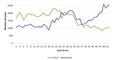 Graph showing the rise of dengue cases reported weekly in Malaysia in 2017 and 2018.