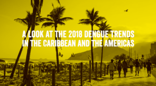 Image of a beach in Rio. Text reads, "Dengue trends in the Caribbean and the Americas"